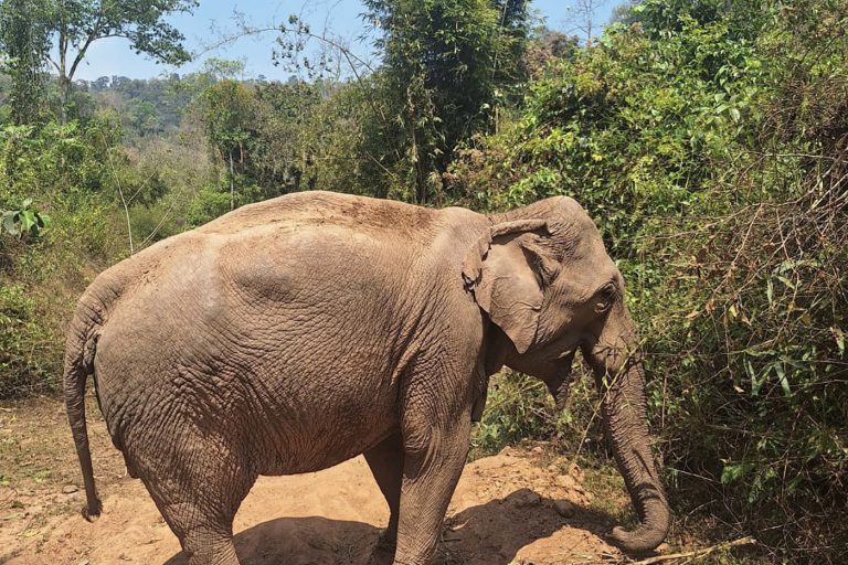 Mae Keo Khoun