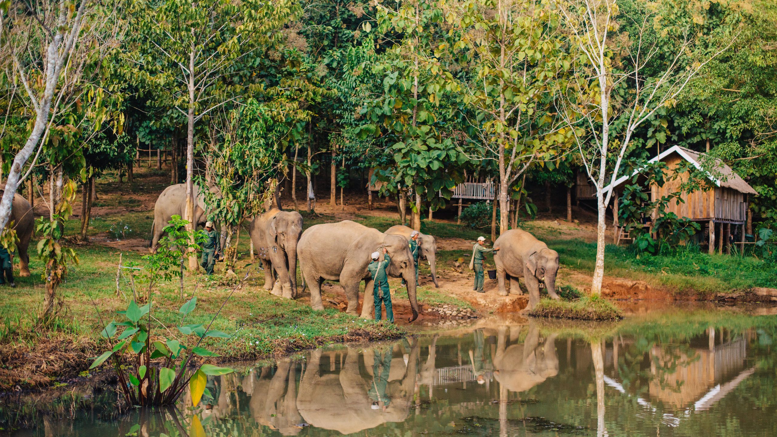 Elephant bath on the ECC grounds