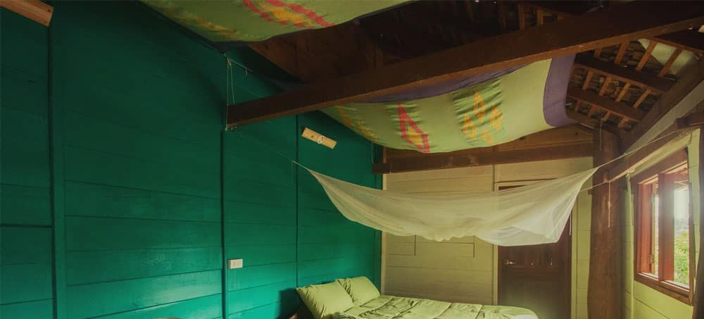 Forest House — photo 5